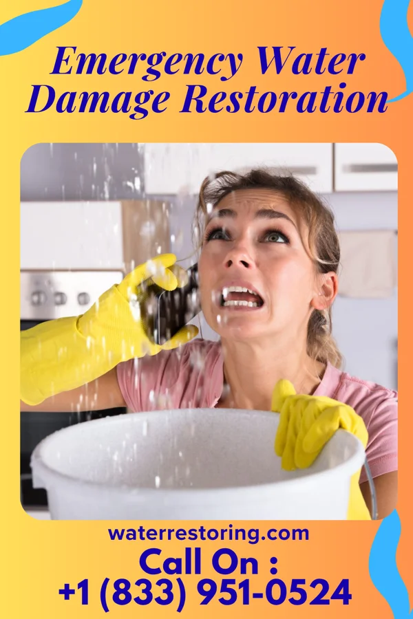 Emergency Water Damage Restoration in Quincy, MI