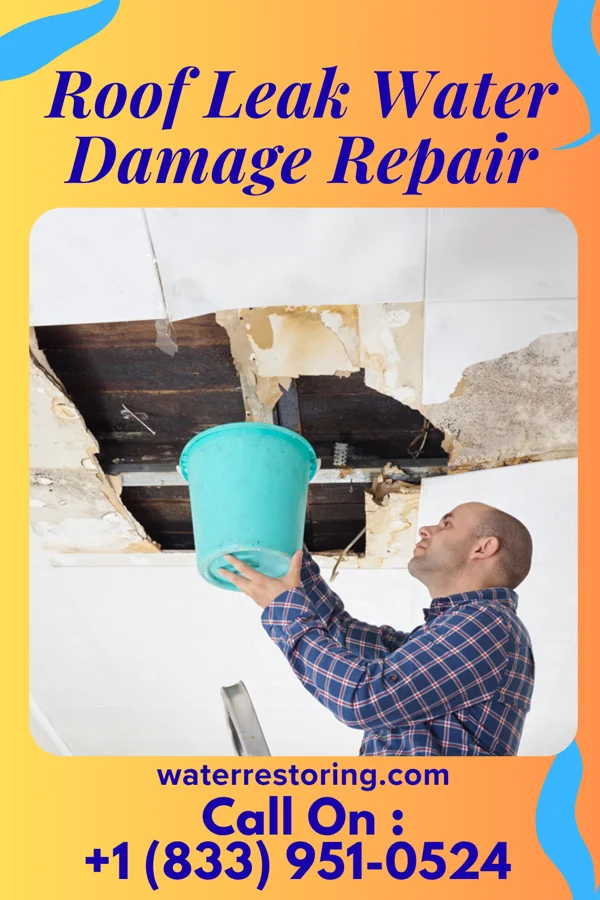 Roof Leak Water Damage Repair in Quincy, MI
