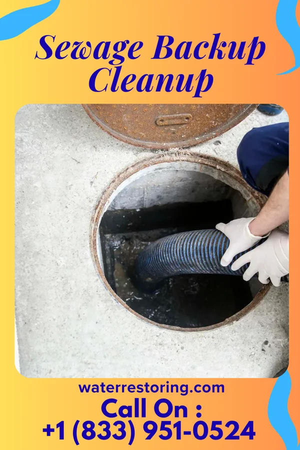 Sewage Backup Cleanup in Quincy, MI