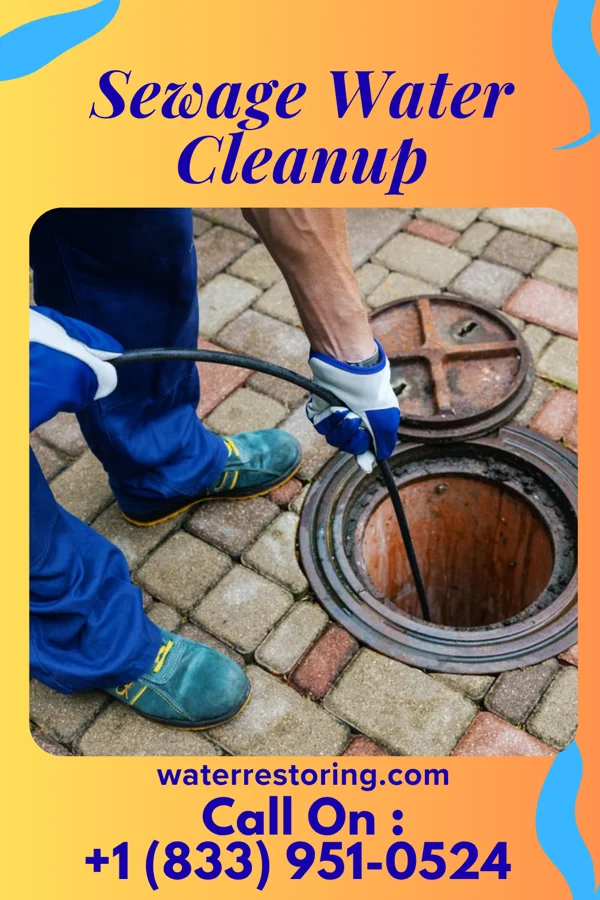 Sewage Water Cleanup in Quincy, MI